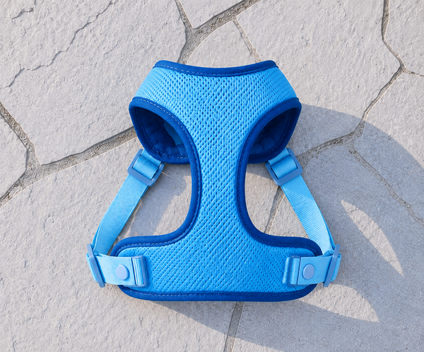Arnés Ergonómico Eco para Perro Pequeño - color azul